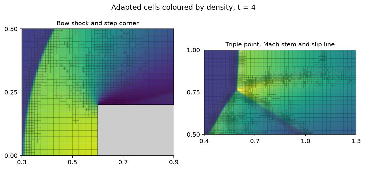 Close-ups of the adapted cells coloured by density, at the bow shock and step corner, and at the triple point